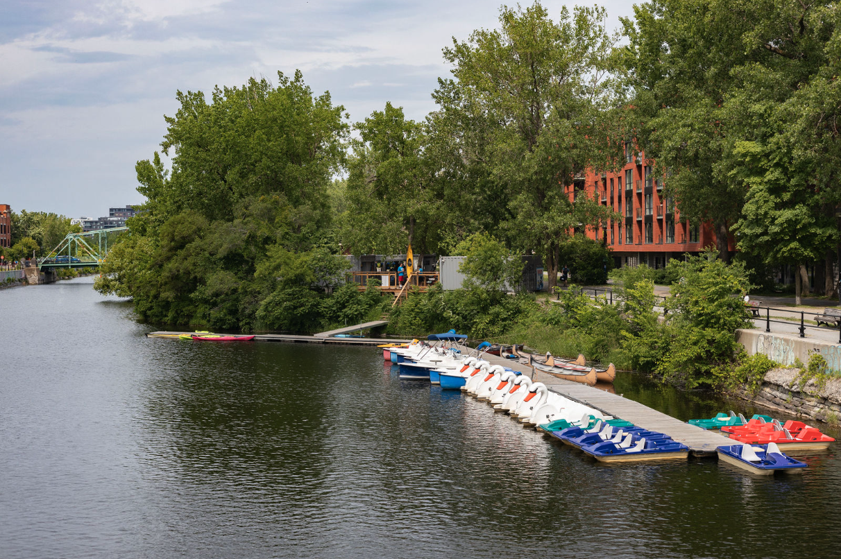 Quai de pédalos et de kayaks colorés sur le canal de Lachine, entouré de verdure, avec un immeuble résidentiel de Griffintown en arrière-plan